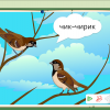 Интерактивное развивающее пособие "Говорящие картинки. Слушаем и повторяем" - «globural.ru» - Алапаевск