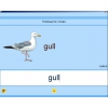 Английский язык. Освоение клавиатуры - «globural.ru» - Алапаевск