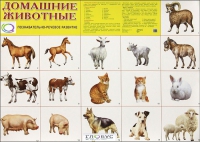 Демонстрационные карточки "Домашние животные" - «globural.ru» - Алапаевск
