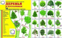 Демонстрационные карточки "Деревья и кустарники" - «globural.ru» - Алапаевск