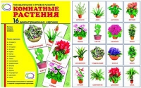 Демонстрационные карточки "Комнатные растения" - «globural.ru» - Алапаевск