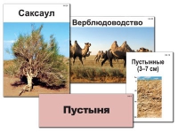 Модель-аппликация "Природные зоны России" - «globural.ru» - Алапаевск