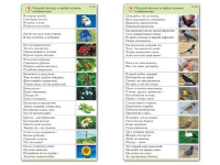 Комплект карточек (10) "Обучающий калейдоскоп. Природа" - «globural.ru» - Алапаевск