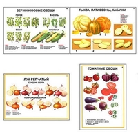 Плакаты ПРОФТЕХ "Ассортимент овощных культур" (12 пл, винил, 70х100) - «globural.ru» - Алапаевск