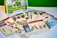 Гербарий к курсу основ общей биологии - «globural.ru» - Алапаевск