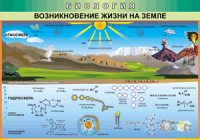 Таблица Возникновение жизни на Земле 1000*1400 винил - «globural.ru» - Алапаевск