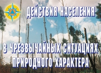 Комплект плакатов "Действия населения в ЧС природного характера" - «globural.ru» - Алапаевск