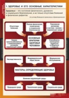 ОБЖ Здоровый образ жизни (комплект таблиц) - «globural.ru» - Алапаевск
