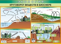 Таблица Круговорот веществ в биосфере 1000*700 винил - «globural.ru» - Алапаевск