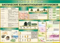 Таблица Биотические взаимоотношения организмов 1000*700 (винил) - «globural.ru» - Алапаевск