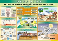 Таблица Антропогенное воздействие на биосферу 1000*700 винил - «globural.ru» - Алапаевск