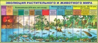 Стенд "Эволюция растительного и животного мира" - «globural.ru» - Алапаевск