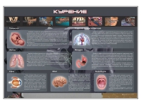 Стенд "Курение" (вариант 1) - «globural.ru» - Алапаевск