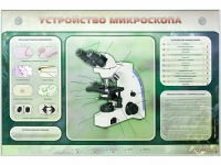 Электрифицированный стенд "Устройство микроскопа и правила работы c ним" - «globural.ru» - Алапаевск