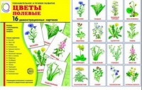 Демонстрационные карточки "Цветы полевые" - «globural.ru» - Алапаевск