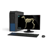 Макет масштабный «Скелет Лошади» Масштаб 1:2 - «globural.ru» - Алапаевск