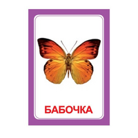 Логопедка "Ч" (логопедические карточки) - «globural.ru» - Алапаевск