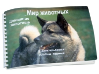 Пособие для слабовидящих "Домашние животные" - «globural.ru» - Алапаевск