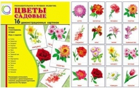 Демонстрационные карточки "Цветы садовые" - «globural.ru» - Алапаевск