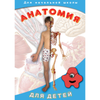DVD  Анатомия для детей - «globural.ru» - Алапаевск
