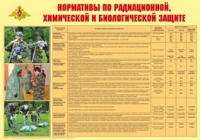 Плакат "Нормативы по радиационной, химической и биологической защите" - «globural.ru» - Алапаевск