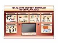 Многофункциональный интерактивный стенд-тренажер "Оказание первой помощи пострадавшим" для учащихся общеобразовательных учреждений - «globural.ru» - Алапаевск