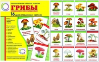 Демонстрационные карточки  "Грибы съедобные и не съедобные" - «globural.ru» - Алапаевск