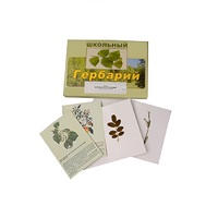 Гербарий "Деревья и кустарники" (22 вида, с иллюстрациями) - «globural.ru» - Алапаевск