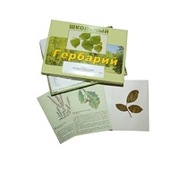 Гербарий "Дикорастущие растения" (30 видов, с иллюстрациями) - «globural.ru» - Алапаевск