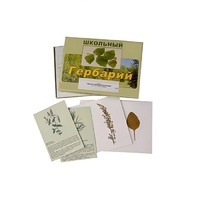 Гербарий "Лекарственные растения" (22 вида, с иллюстрациями) - «globural.ru» - Алапаевск