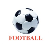 Карточки Домана "Sports equipment-1" ("Спортинвентарь-1") на английском языке - «globural.ru» - Алапаевск