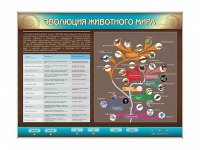 Интерактивный электрифицированный стенд "Эволюция животного мира" - «globural.ru» - Алапаевск