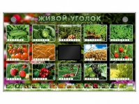 Комплект оборудования "Живой уголок" (растения) - «globural.ru» - Алапаевск