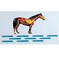 Стенд-планшет светодинамический "Изучение кровеносной системы сельскохозяйственных животных" со сменными панелями - «globural.ru» - Алапаевск