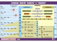 Таблица демонстрационная "Сравнение понятий изомер и гомолог" (винил 100х140) - «globural.ru» - Алапаевск