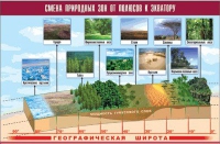Таблица демонстрационная "Смена природных зон от полюсов к экватору" (винил 70x100) - «globural.ru» - Алапаевск