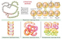 Плакаты и таблицы по общей химии - «globural.ru» - Алапаевск