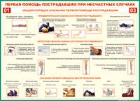  Таблица Общий порядок оказания первой помощи пострадавшим 1000*1400 винил	 - «globural.ru» - Алапаевск