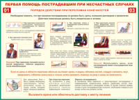 Таблица Порядок действий при переломах конечностей 1000*1400 винил - «globural.ru» - Алапаевск