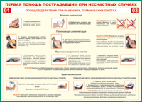 Таблица Порядок действий при ранениях и термических ожогах	 1000*1400 винил - «globural.ru» - Алапаевск