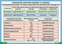 Химия. Сравнение понятий изомер и гомолог. Функциональные группы классов органических веществ (винил) - «globural.ru» - Алапаевск