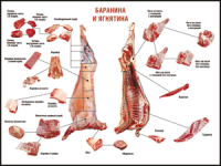 Правила разделки мясных туш "Баранина и ягнятина" 1000*1400 винил - «globural.ru» - Алапаевск