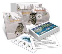 Комбинированное наглядное пособие «Животные» - «globural.ru» - Алапаевск