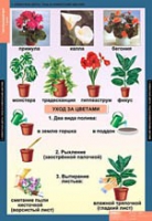 Окружающий мир 1 класс (комплект таблиц) - «globural.ru» - Алапаевск