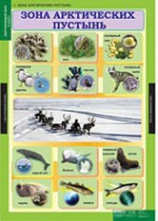 Окружающий мир 4 класс (комплект таблиц) - «globural.ru» - Алапаевск