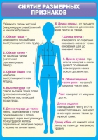 Стенд "Снятие мерок" (вариант 2) - «globural.ru» - Алапаевск