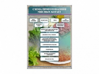 Стенд "Схема приготовления мясных котлет" - «globural.ru» - Алапаевск