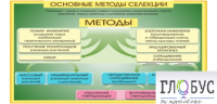 Стенд "Методы селекции и биотехнологии" - «globural.ru» - Алапаевск