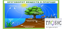Стенд "Круговорот веществ" - «globural.ru» - Алапаевск