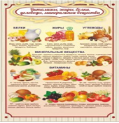 Стенд "Витамины, жиры, белки" - «globural.ru» - Алапаевск